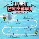 올서비스투어 이미지