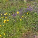 봄날아이한의원 | 6월의 껌딱지”