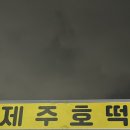 삼화사랑약국 네이버블로그