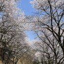 명당2리 마을회관 이미지