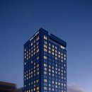 스테이 다래 이미지