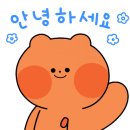 프래디 컴퍼니 커피 랩 네이버블로그