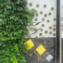 선리농장 이미지