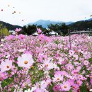 대황강 자연휴식공원 이미지