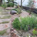 플러스부동산중개사무소 이미지