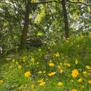 중계근린공원 이미지