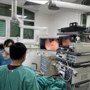 엔도웨이 이미지