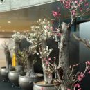 안양대교(럭키아파트 방면) | 서울 근교 3월 가볼만한곳 경기도 서울 매화 명소 베스트 10 봄나들이 드라이브 코스 및 숨겨진 꽃구경...