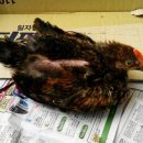 말무리농장 이미지