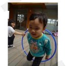 예능어린이집 - 구로구 | 예능어린이집