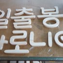 일출봉아로니아 이미지