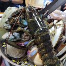 소로3-131 이미지