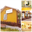 에이치제이에어컨 | 속초시 대형견 가능 애견동반 숙소 TOP 10 후기 많은