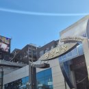 큰시장빈대떡 | 광장시장 종로육회 추천 통큰누이네 육회빈대떡 후기