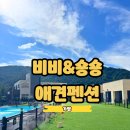 고씨부엌 | 비비숑숑 가평 애견펜션 추천 내돈내산 후기 애견동반 여행 카페