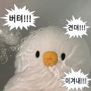 재봉틀 사용법 및 기초 홈패션 작품 제작 | [공방투어] 광진구 패션공방, 와이마우스 패션공방 수강일지🐁