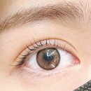 다사랑1층상가 | 일산 마두역 근처 페이스 왁싱 속눈썹펌 추천 더브로우샵