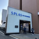 스플라스리솜 | 예산 스플라스 리솜 방문 후기 | 2월 인파, 준비물, 2만원 할인 꿀팁!