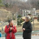 모사사 이미지