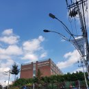 인천심곡초등학교 이미지