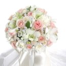 고은메디컬 이미지