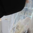 부띠끄멍 수제간식 | 강아지 눈이 번쩍! 해운대 강아 수제간식 전문점 멍찬가게 방문 솔직 후기