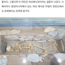 정인목장 이미지