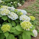 사우스사계 이미지