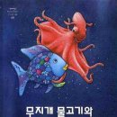 무지개 물고기 이미지