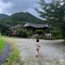 가람편백펜션 이미지