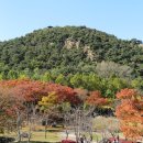 옥구공원 티스토리
