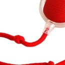 고양이라서 행복해 이미지