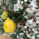 오투 플라워 이미지