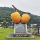 덕실감빛마을 이미지