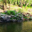 보개산장 이미지