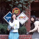 국화꽃향기 이미지