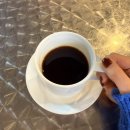 윤슬동물병원 | 11월 꽉꽉 눌러 담은 일상 기록