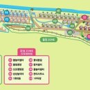 등억알프스야영장 이미지