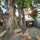 서천리경로당 이미지