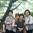 괴정4동-4 이미지