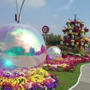 계양 아라온 국화축제 1 이미지