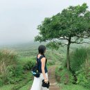 2861 | 타이베이 근교여행 Qingtiangang 칭티엔강대초원 擎天崗 가는법 양밍산하이킹 버스정보 꿀팁 준비물