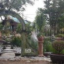 민들레울 이미지