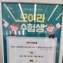 블래니 | 여행⑪｜성산 섭지코지 한화 아쿠아플라넷 제주 솔직 후기｜국내 최대 아쿠아리움 가격·할인·주차...