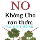 25년 3월 다낭호이안 여행기 1편