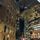 와인조형물 | 분위기 미쳐버린 시드니 맛집 _ 더 미트앤 와인코 서큘러키 리얼 후기