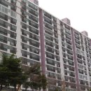 사하구-39 이미지