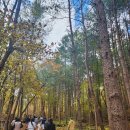 수비별빛캠핑장 이미지