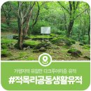적목리 공동생활유적 이미지