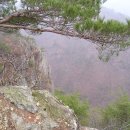 기회송림 매표소 이미지